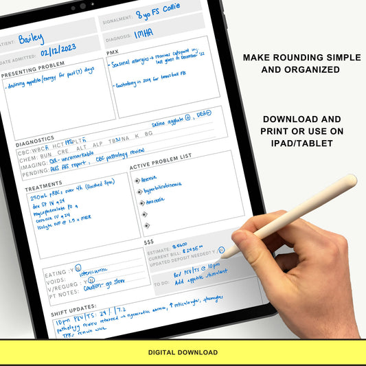 Inpatient Rounding Template