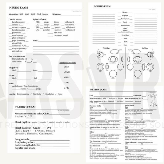 Specialty Exam Templates