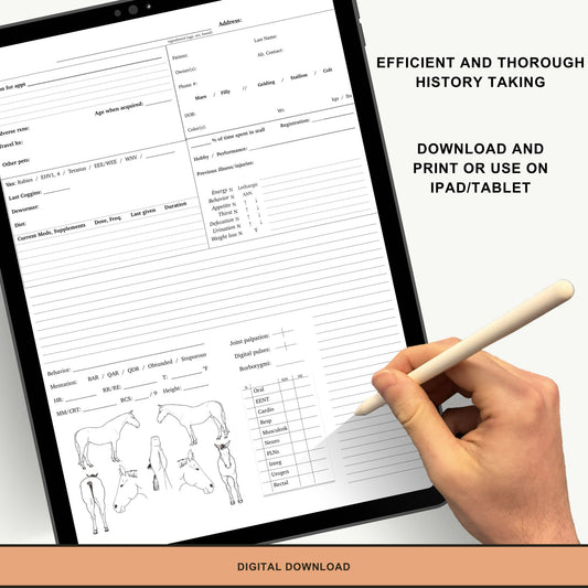 Equine SOAP Template