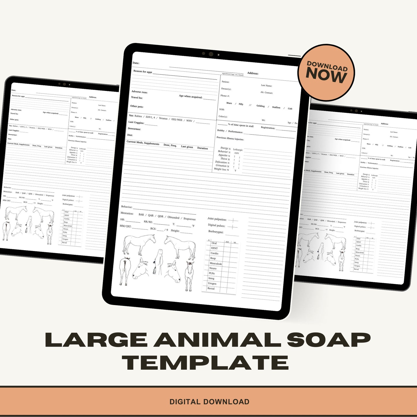 Equine SOAP Template