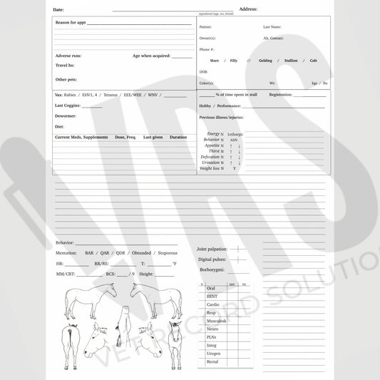Equine Case Log Notebook