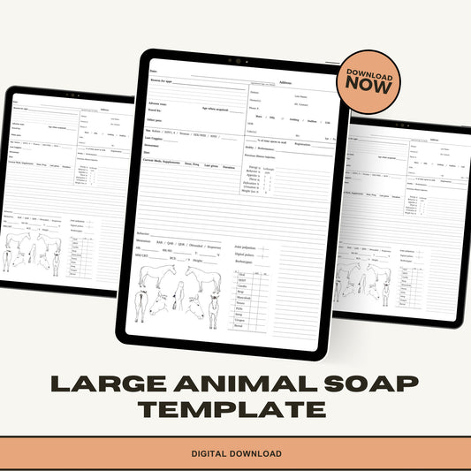 Equine SOAP Template