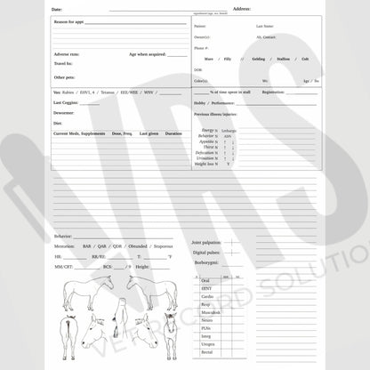 Equine SOAP Template